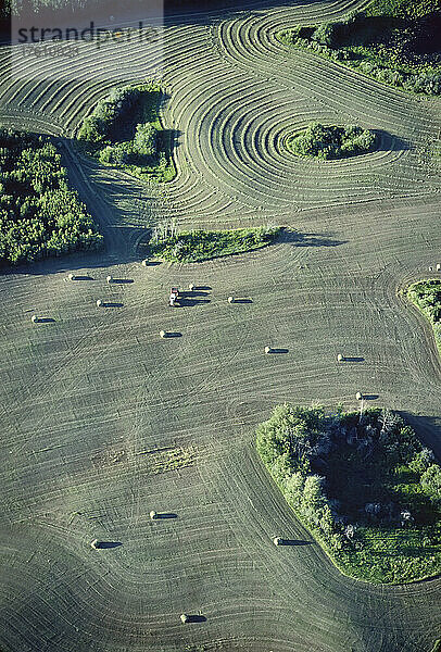 Luftaufnahme von Farmland  Alberta  Kanada