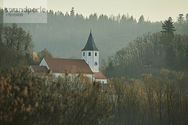 Sonnenaufgang über der Kirche von Tegernheim mit Büschen und kahlen Bäumen im Morgenlicht; Tegernheim  Bayern  Deutschland