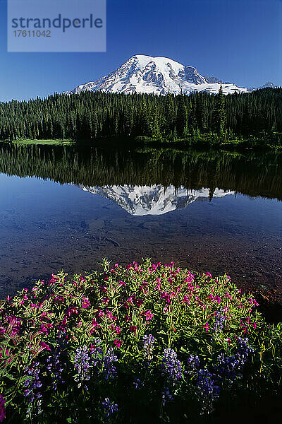 Mt. Rainier Mt. Rainier National Park Washington  USA