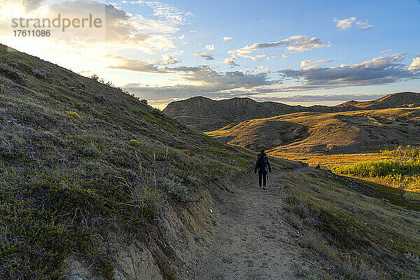 Frau  die auf einem Pfad durch den Grasslands National Park in Saskatchewan spazieren geht  während sich der Sonnenuntergang nähert; Val Marie  Saskatchewan  Kanada