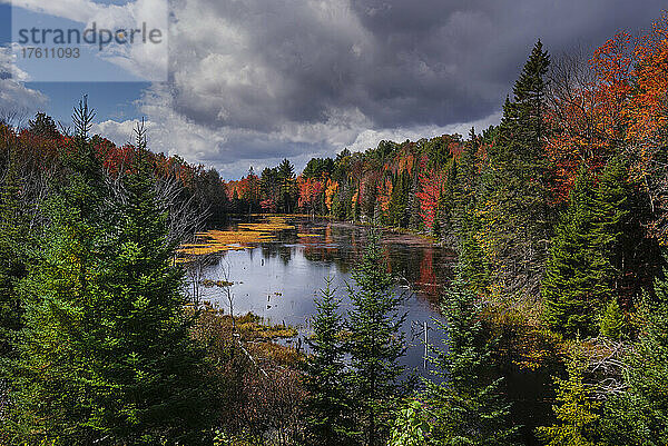 Herbstfarbenes Laub eines Waldes  das sich in einem ruhigen See in den Laurentides spiegelt; Quebec  Kanada