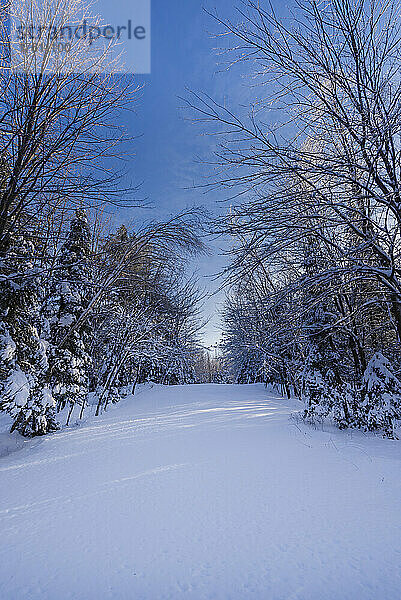 Unberührte Schneelandschaft in den Laurentides; Quebec  Kanada