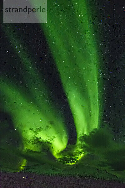 Aurora borealis  Bänder aus hellem  grünem Licht  die am Nachthimmel über schneebedeckten Berggipfeln aufblitzen; Island