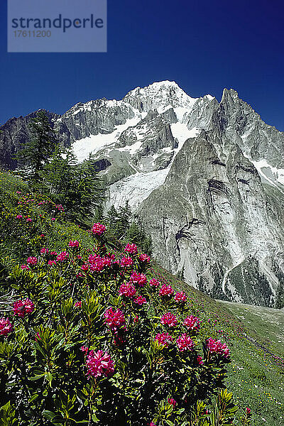 Mont Blanc Region Frankreich