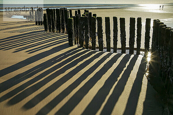 Silhouette der Überreste einer Buhne am Strand von Dawlish Warren  Devon; Devon  England