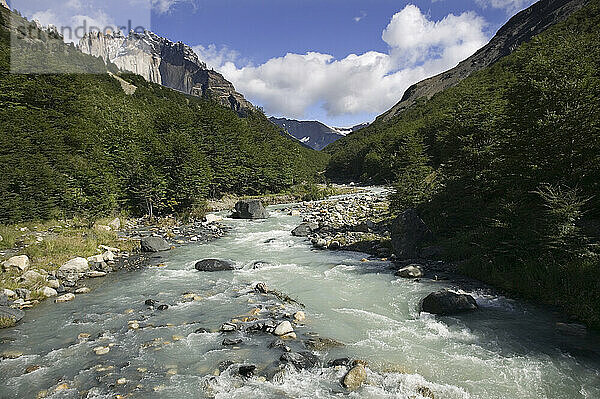 Der Rio Ascencio fließt durch das Ascencio-Tal im Torres del Paine-Nationalpark in Chile; Patagonien  Chile