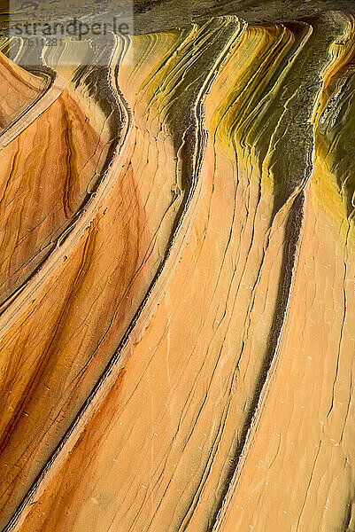 Abstrakte Schönheit der terrassenförmigen Muster der Sandsteinfelsen bei Coyote Buttes in der Paria Canyon-Vermilion Cliffs Wilderness; Arizona  Vereinigte Staaten von Amerika