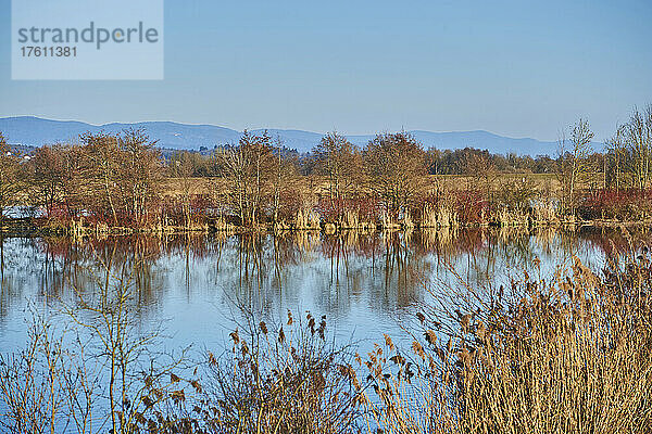 Teich  in dem sich Bäume und blauer Himmel in einer Landschaft spiegeln; Oberpfalz  Bayern  Deutschland