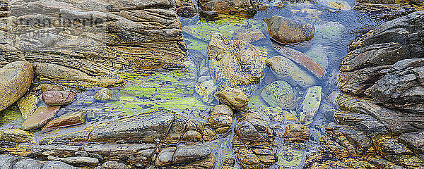 Natürliche Schönheit eines klaren Wasserlaufs über einem natürlichen Felsen im Agulhas National Park; Cape Agulhas  Western Cape  Südafrika