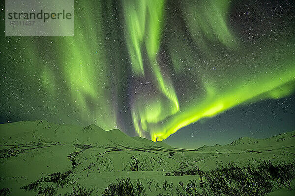 Aurora borealis (oder Nordlicht) am Sternenhimmel über den schneebedeckten Bergen entlang des Dempster Highway im Winter; Yukon  Kanada