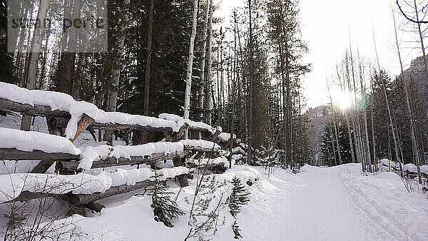 Ein schneebedeckter Zaun und ein Pfad führen hinauf in die Berge.