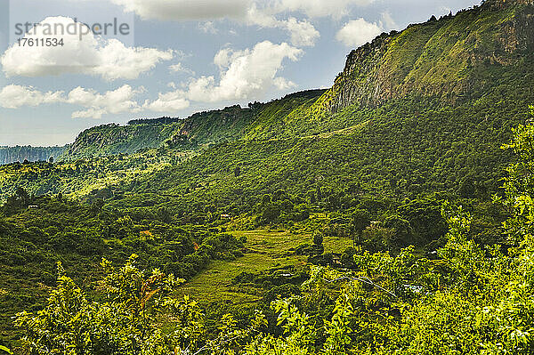 Ein waldbedeckter Gebirgszug und Steilhang im Westen Kenias; Der Elgeyo-Steilhang am westlichen Rand des Kerio-Tals in der Nähe von Kabarnet  Westkenia.
