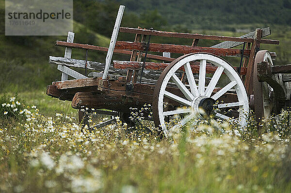 Alter Bauernwagen in der Nähe des Hosterial Las Torres  Torres del Paine National Park; Patagonien  Chile