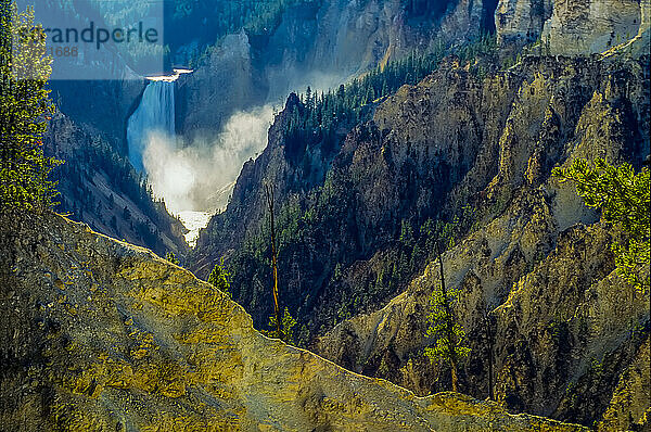 Frühmorgendliches Licht  das die Gischt der Lower Falls des Yellowstone River beleuchtet und dem gelben Schwefelgestein  das den Wasserfall im Grand Canyon of the Yellowstone umgibt  einen zusätzlichen Goldschimmer verleiht; Yellowstone National Park  Wyoming  Vereinigte Staaten von Amerika
