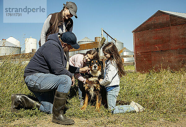 Eltern mit ihren beiden kleinen Mädchen zeigen ihrem Hund ihre Zuneigung auf ihrer Familienfarm; Alcomdale  Alberta  Kanada