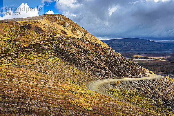 Parkstraße entlang des Polychrome Passes mit Herbstfarben in der Tundra; Denali National Park & Preserve  Inneres Alaska  Alaska  Vereinigte Staaten von Amerika