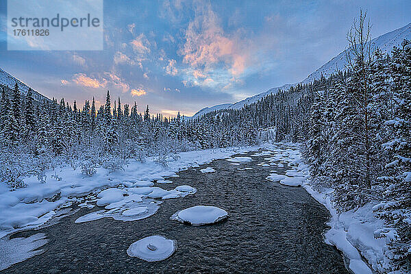 Schneebedeckte Felsen mit Eisrand im Wheaton River im Winter mit rosa Wolken über den Bergen in der Ferne bei Sonnenaufgang; Whitehorse  Yukon  Kanada