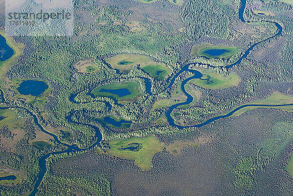 Luftaufnahme der Flüsse  Bäche und umliegenden grünen Wälder in der Tundra des Arctic National Wildlife Refuge; Alaska  Vereinigte Staaten von Amerika