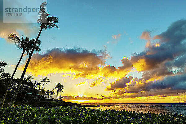 Ein goldener Sonnenuntergang mit leuchtenden Wolken über dem Ozean und dem Horizont  mit der Silhouette von Palmen und Restaurant-Terrassenschirmen mit üppigem grünen Laub im Vordergrund an der Küste der Kapalua Bay; Ka'anapali  Maui  Hawaii  Vereinigte Staaten von Amerika