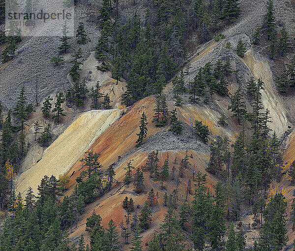 Schlamm und Erosion an einem Berghang mit Bäumen schaffen eine farbenfrohe Landschaft  vom BC Highway 1 aus gesehen; British Columbia  Kanada