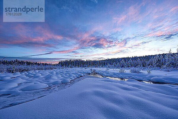 Sonnenuntergang  der den Himmel über dem McIntyre Creek erhellt  mit verschneiten Hügeln und Nadelwald im Hintergrund; White Horse  Yukon  Kanada