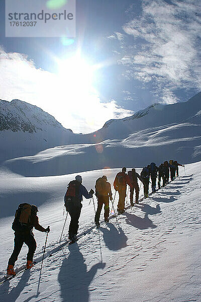 Skifahrer stapfen in einer geraden Linie bergauf; Selkirk Mountains  British Columbia  Kanada.