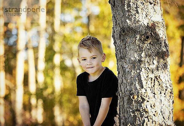 Porträt eines süßen Jungen mit blondem Haar  der neben einem Baum in einem Park mit Herbstfarben steht; St. Albert  Alberta  Kanada