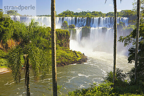 Blick durch die Bäume auf die berühmten Iguazu-Fälle  Iguazu Falls National Park; Puerto Iguazu  Misiones  Argentinien