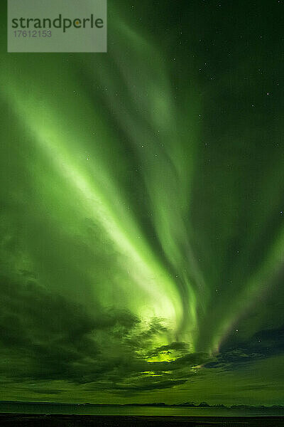 Aurora borealis  Bänder aus hellem  grünem Licht  die über den Nachthimmel am Horizont blitzen; Island