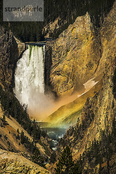 Untere Fälle des Yellowstone River mit der sonnenbeschienenen Gischt  die einen Regenbogen im Grand Canyon of the Yellowstone im Yellowstone National Park bildet; Wyoming  Vereinigte Staaten von Amerika