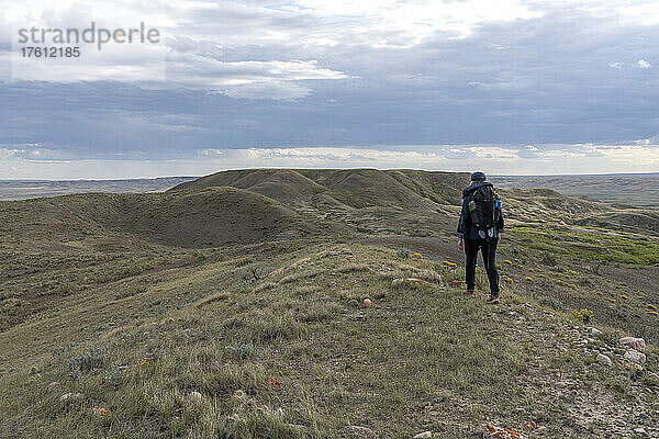 Frau geht auf einer Kuppe in Richtung 70 Mile Butte im Grasslands National Park; Val Marie  Saskatchewan  Kanada