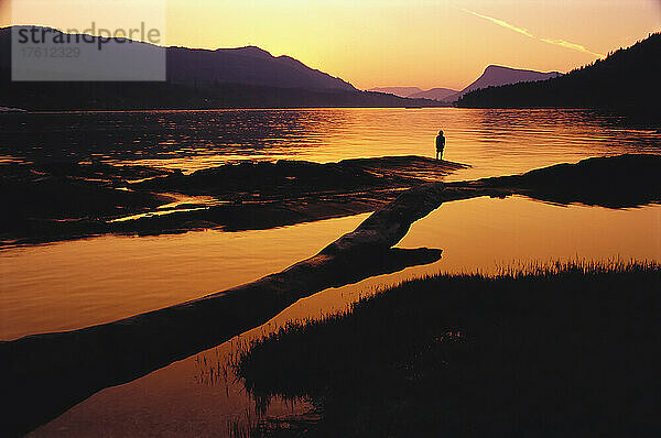 Silhouette einer Person auf den Gulf Islands bei Sonnenuntergang  BC  Kanada
