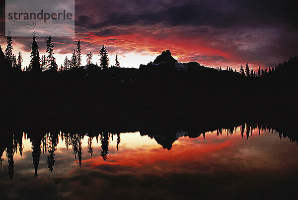 O'Hara-See und Cathedral Mountain bei Sonnenuntergang  Yoho-Nationalpark  British Columbia  Kanada
