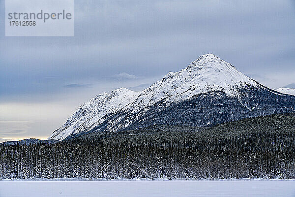 Schneebedeckte Berglandschaft in der Nähe des Tagish Lake im Winter; Tagish  Yukon  Kanada