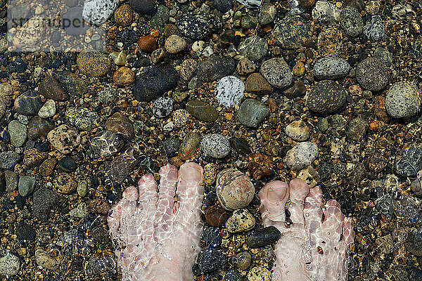 Barfuß im flachen  klaren Wasser stehend  Sargeant Bay Provincial Park  Sunshine Bay  BC  Kanada; British Columbia  Kanada