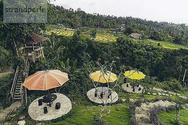 Aussichtsbaum und Tische mit bunten Sonnenschirmen mit Blick auf die Reisfelder und landwirtschaftlichen Gebäude am Hang in Sambangan im Bezirk Sukasada; Buleleng  Bali  Indonesien