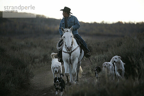 Ein ehemals wildes Pferd arbeitet jetzt mit einem Schafhirten in Wyoming; Savery  Wyoming  Vereinigte Staaten von Amerika