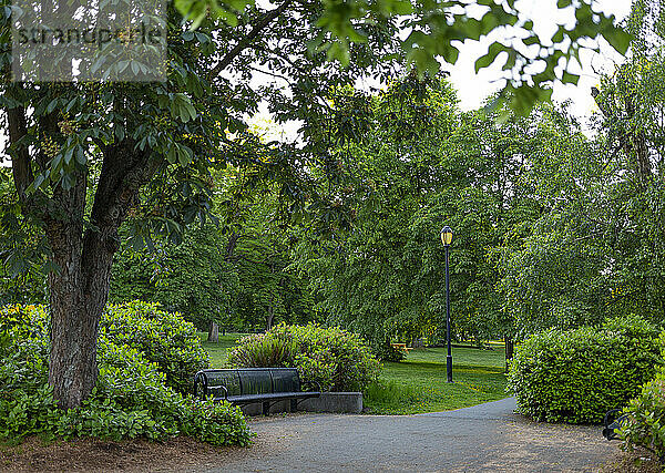 Stadtpark mit Laternenpfahl  Bank und Gehweg inmitten von üppigen Pflanzen und Bäumen; North Vancouver  British Columbia  Kanada