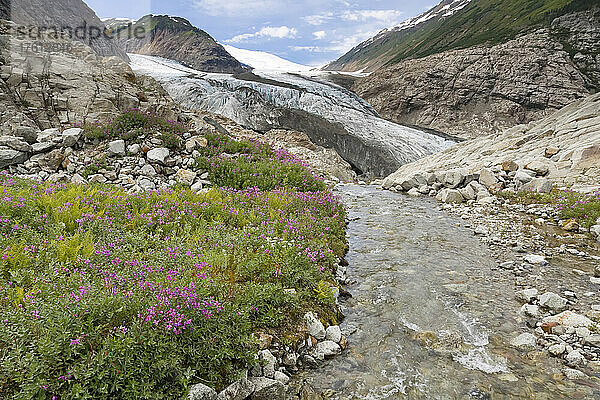 Berendon Glacier  Coast Mountains  British Columbia  Kanada