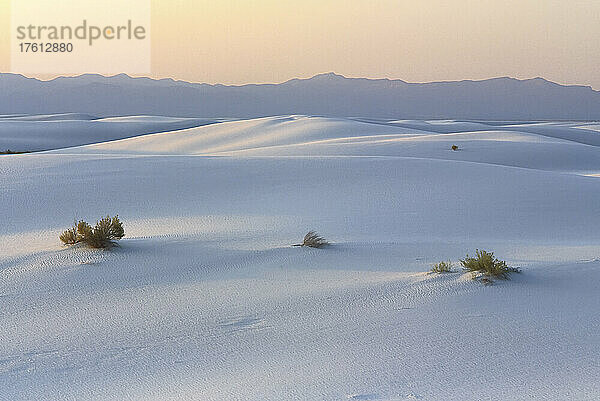 White Sands National Monument  New Mexico  USA