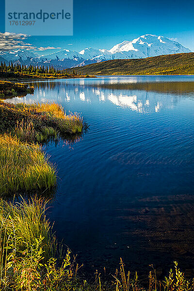 Mount Denali (McKinley) spiegelt sich im Wonder Lake unter blauem Himmel im Herbst; Denali National Park and Preserve  Interior Alaska  Alaska  Vereinigte Staaten von Amerika
