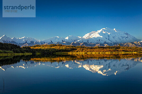 Perfekte Spiegelung des Mount Denali (McKinley) auf dem ruhigen Denali Reflection Pond unter blauem Himmel; Denali National Park and Reserve  Interior Alaska  Alaska  Vereinigte Staaten von Amerika