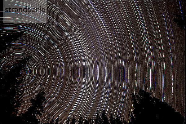Langzeitbelichtung von Sternen  die Sternspurmuster am Nachthimmel erzeugen; Montana  Vereinigte Staaten von Amerika