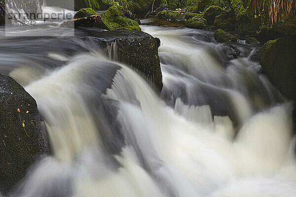 Nahaufnahme von verschwommenem Wasser  das über Felsen in den Golitha Falls am Fowey River in der Nähe von Liskeard fließt; Cornwall  England