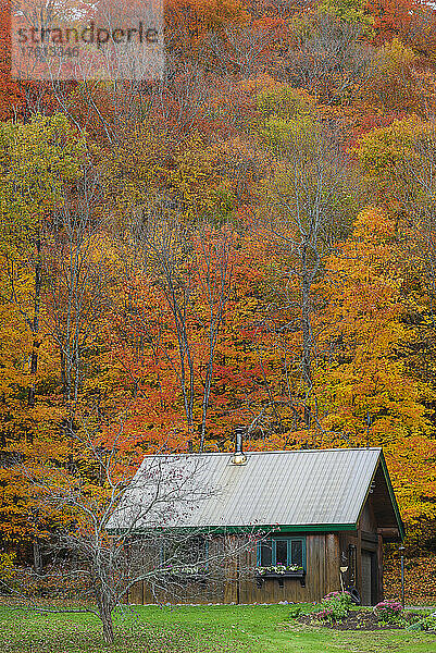 Haus auf dem Lande  versteckt im herbstlichen Laub; Quebec  Kanada