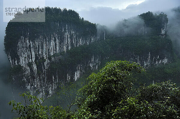 Nachdem der Regen vorüber ist und die Wolken vom Grund der Schluchten in Sanqiao oder den Drei Natürlichen Brücken aufsteigen  kommen große Kalksteinfelsen zum Vorschein; Wulong  Provinz Chongqing  China.