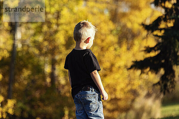 Niedlicher Junge mit blondem Haar steht in einem Park mit Herbstfarben und schaut in die Ferne; St. Albert  Alberta  Kanada