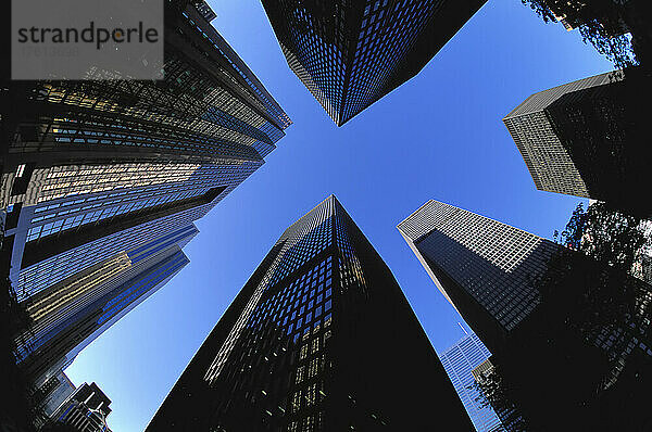 Blick nach oben auf Bürotürme und Himmel Toronto  Ontario  Kanada