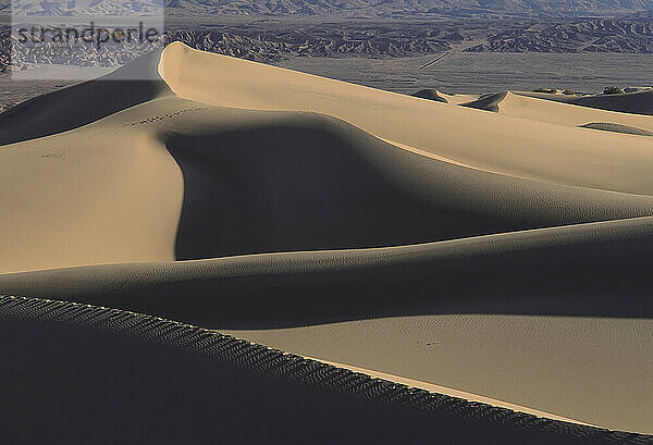 Mesquite-Dünen  Death Valley National Monument  Kalifornien  USA