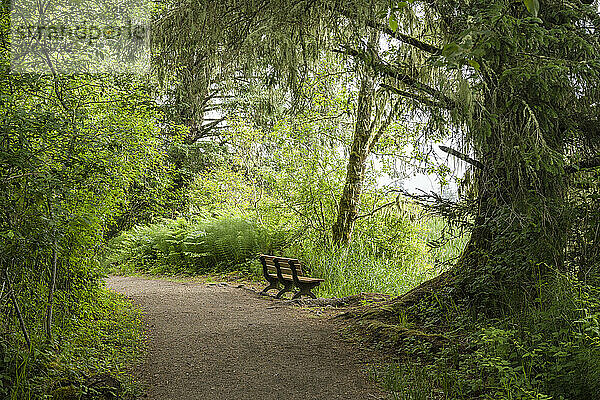Eine Bank mit Aussicht lädt Wanderer zum Sitzen und Ausruhen ein im Lewis and Clark National Historical Park  Oregon  USA; Astoria  Oregon  Vereinigte Staaten von Amerika